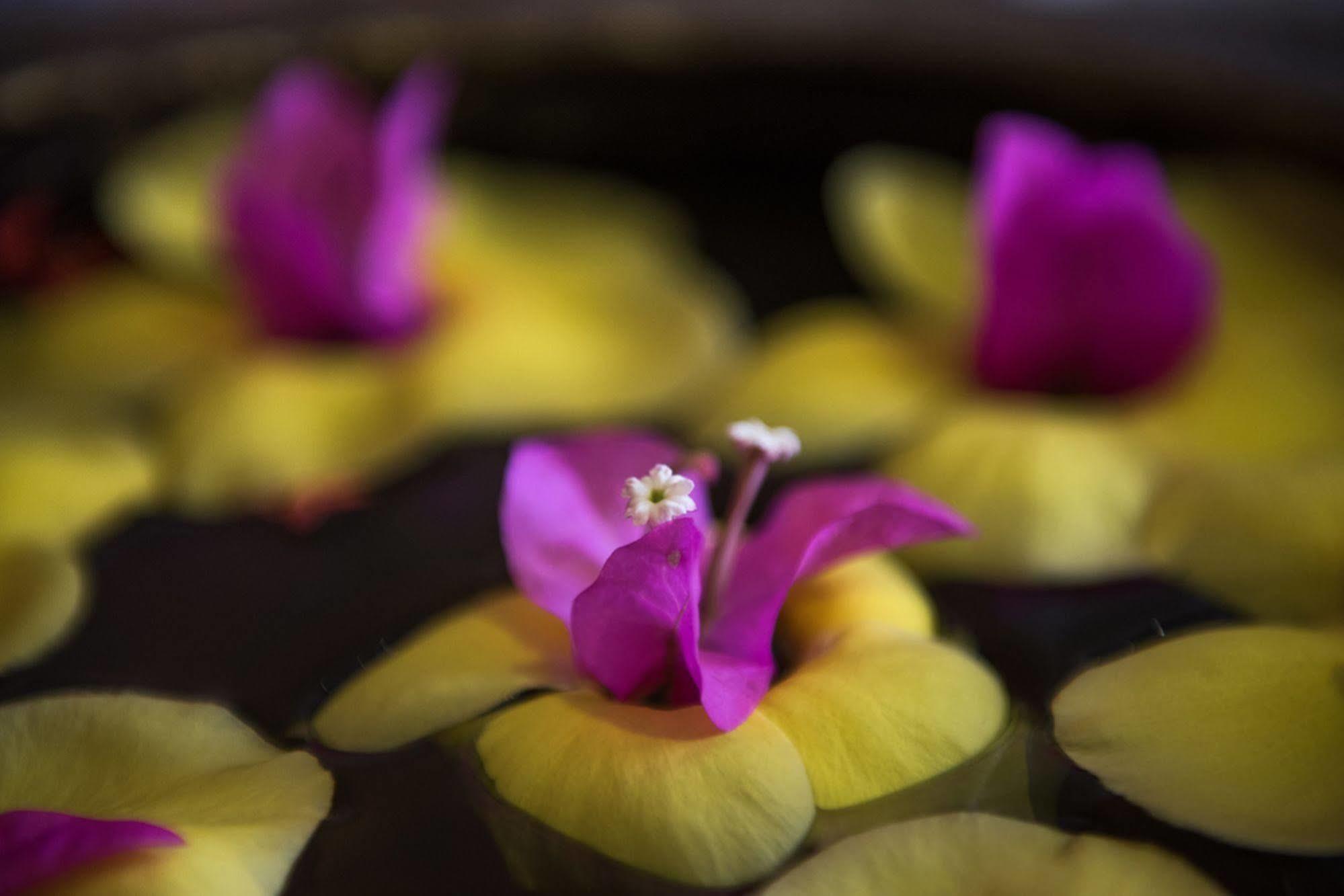 Galaxy Angkor Boutique Hotel Siem Reap Bagian luar foto
